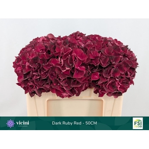 HYDR M MAG DARK RUBY
