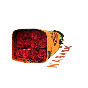 R GR EXPLORER Naranjo