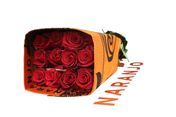 <h4>R GR EXPLORER Naranjo</h4>