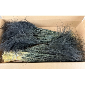 DF Stypha 60cm Bs Black