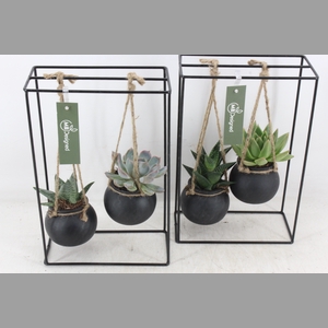 arr2 MB - Ijzer rek 2glas black bol