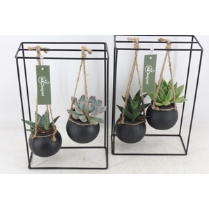 arr2 MB - Ijzer rek 2glas black bol