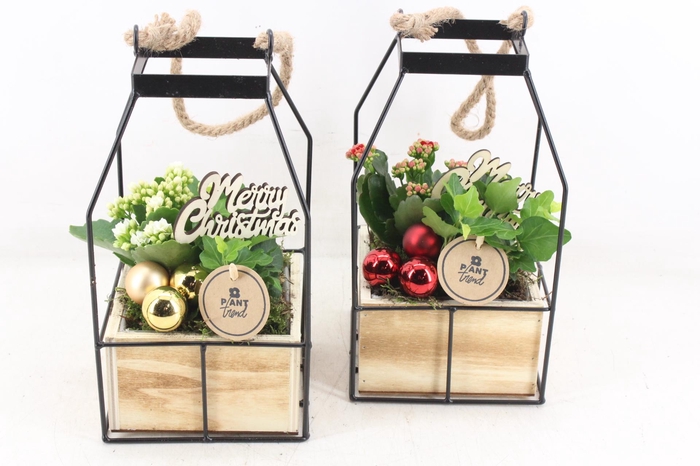 <h4>arr2 PL - Lantaarn 4kant Xmas - rood/wit</h4>