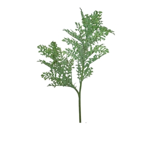 AF Senecio L61cm grey