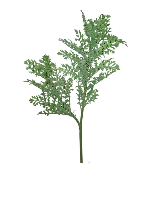 <h4>AF Senecio L61cm grey</h4>