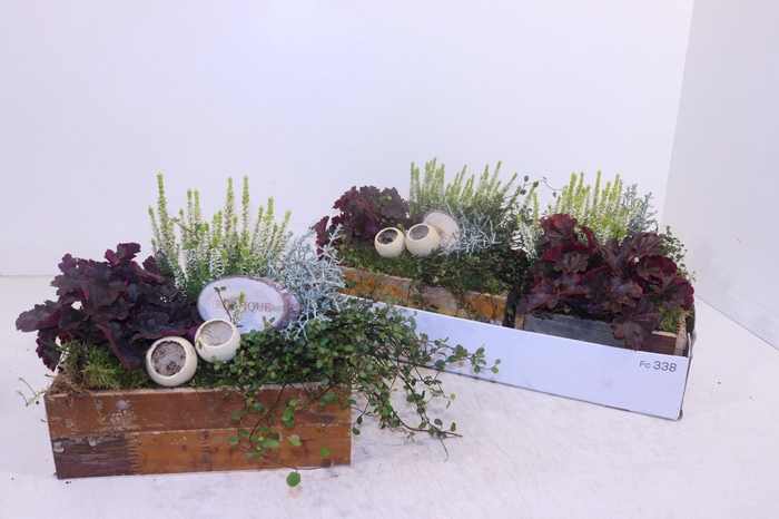 <h4>ARR TUINPLANTEN</h4>