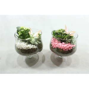 8780 GLAS OP VOET RO/WIT