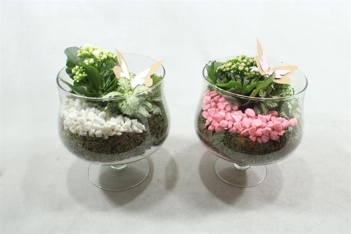 <h4>8780 GLAS OP VOET RO/WIT</h4>