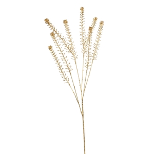 Lepidium spray gold 84cm