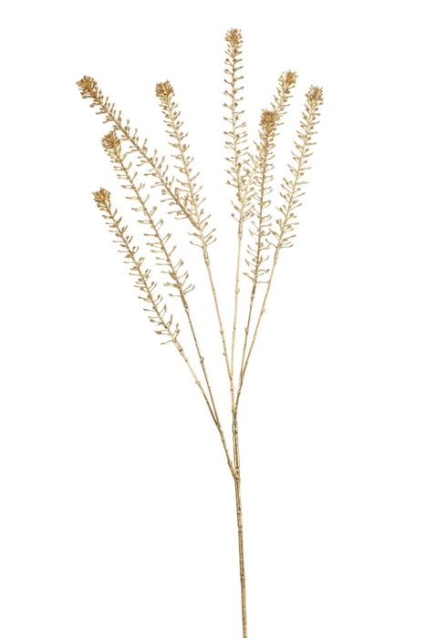 <h4>Lepidium spray gold 84cm</h4>