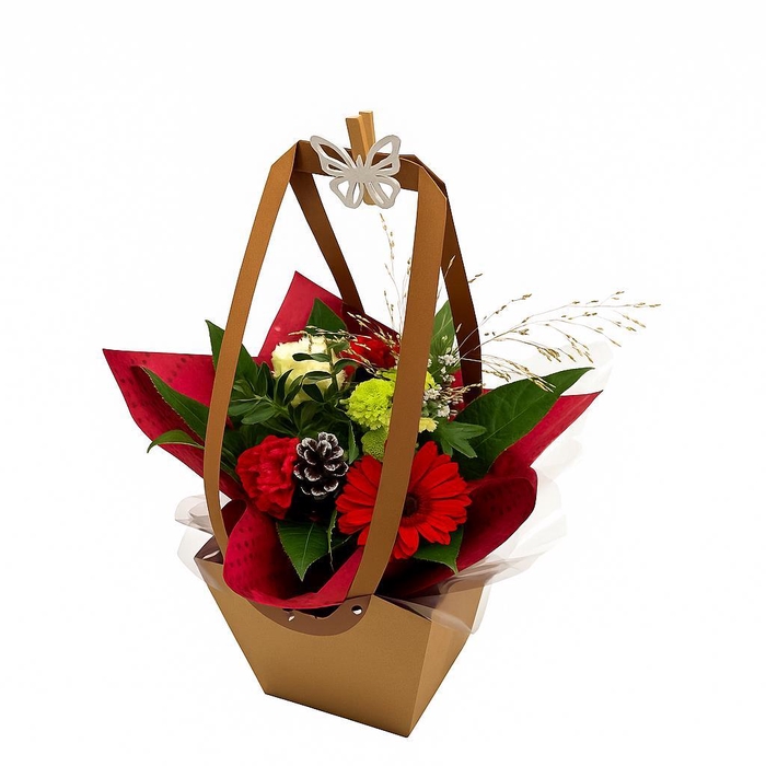 <h4>Aqua-Bulle Liza rood</h4>