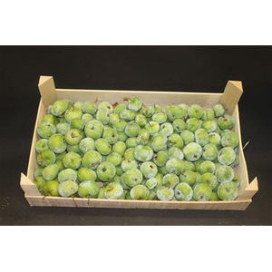 F Appel Groen 5kg