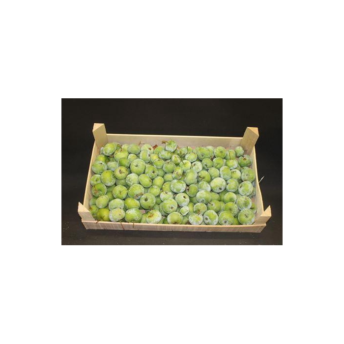 <h4>F Appel Groen 5kg</h4>