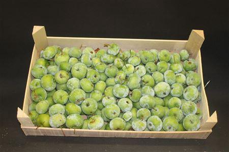 F Appel Groen 5kg