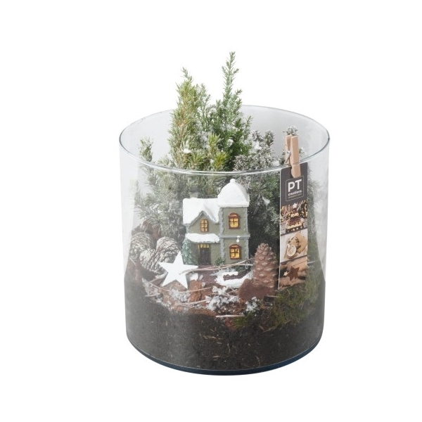 <h4>PTCWW2710 Arrangement Winter in glas cylinder</h4>