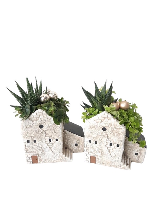 <h4>Arr. Kamerplant Groen L%</h4>