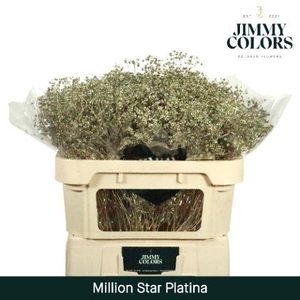Gyps Million Star L70 Metallic platina