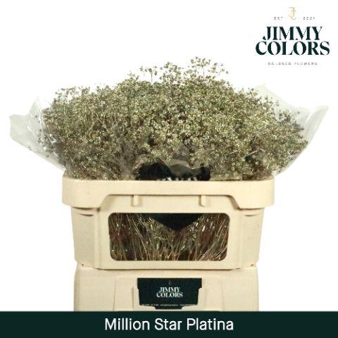 <h4>Gyps Million Star L70 Metallic platina</h4>