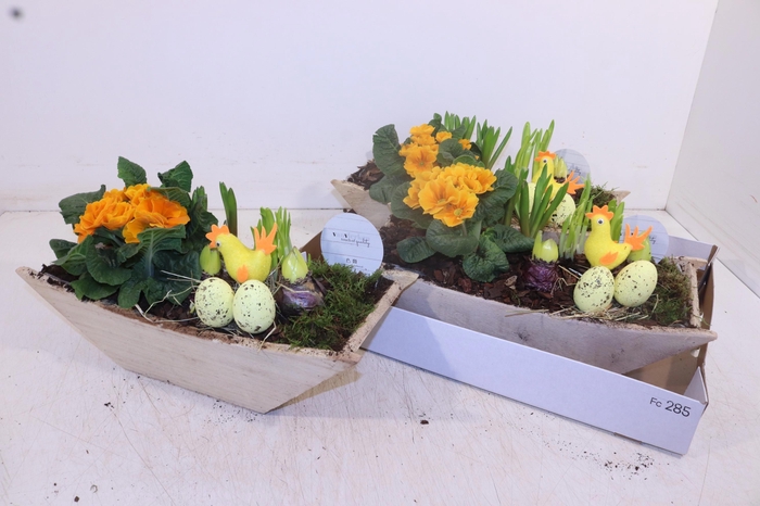 <h4>ARR TUINPLANTEN</h4>