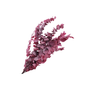 Eucalyptus Preserved Lilac Stuartiana