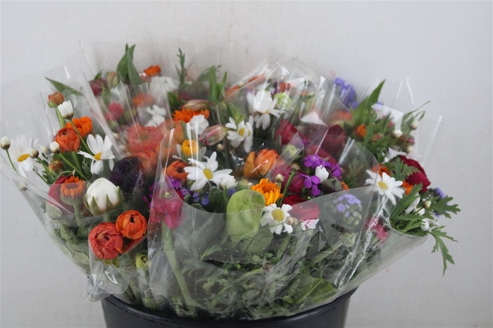 <h4>Boeket Primavera P Bunch</h4>