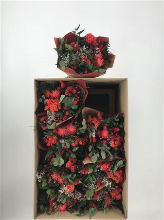 <h4>Dr Bqt Primavera Dry Red Rosso</h4>