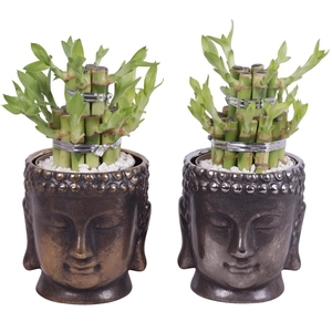 Lucky Bamboo Shape Round 2B in Ceramic Buddha Gold/Silver Ø12cm