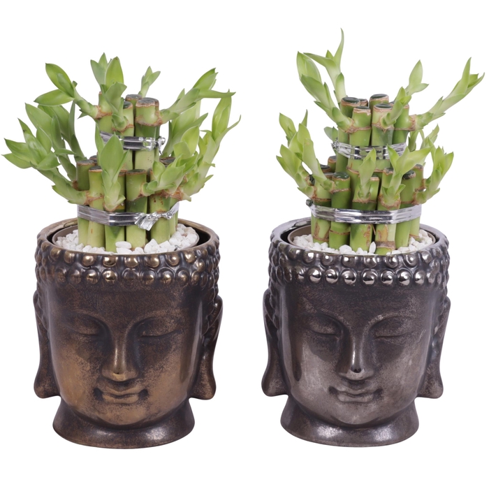 <h4>Lucky Bamboo Shape Round 2B in Ceramic Buddha Gold/Silver Ø12cm</h4>