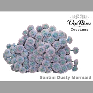 CHR S DUSTY MERMAID