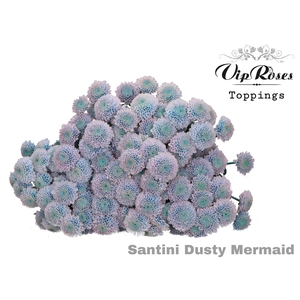 CHR S DUSTY MERMAID