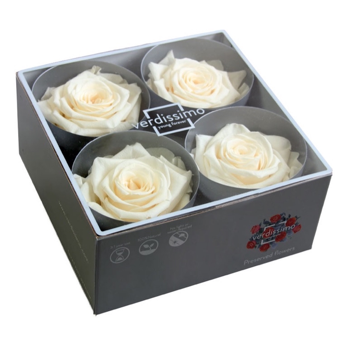 <h4>Roos Premium champagne</h4>