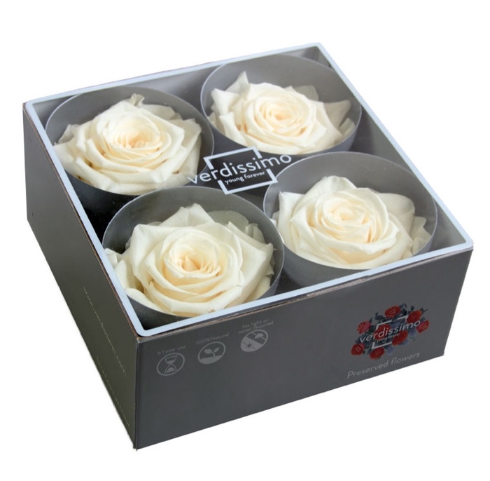 <h4>Roos Premium champagne</h4>