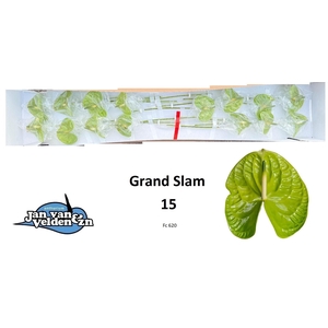 ANTH A GRAND SLAM