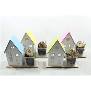 3977 HOUT HUISJE OP PLANK