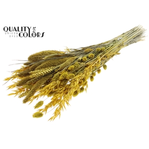 Dried Flower mix bunch Yellow