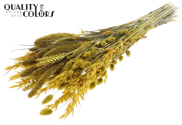 <h4>Dried Flower mix bunch Yellow</h4>