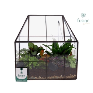 Metaal Geometrisch Medium planter met Terrarium arrangemet