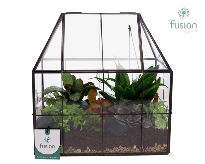 <h4>Metaal Geometrisch Medium planter met Terrarium arrangemet</h4>