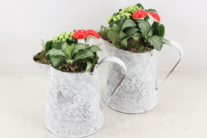 <h4>arr2 TD - Zink kan - wit</h4>