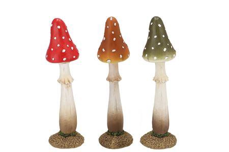 <h4>Wonderland Mushroom Scottisch Spice Coprinus Ass 7</h4>