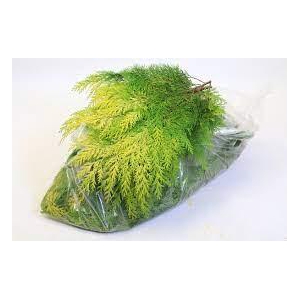 CONIFEER GEEL-GROEN 5KG