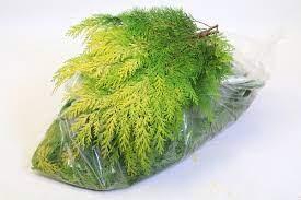 <h4>CONIFEER GEEL-GROEN 5KG</h4>