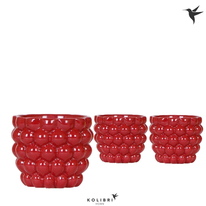 <h4>Kolibri Home Berry pot</h4>