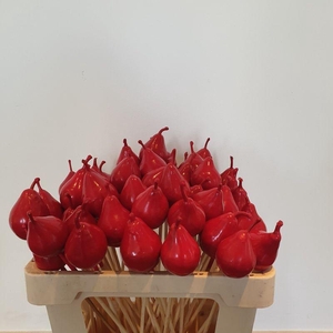 WAX PEER OP STOK ROOD H%