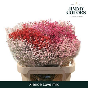 Gyps Xlence L80 Love Mix