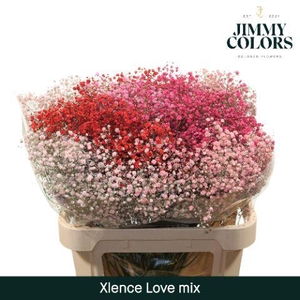 Gyps Xlence L80 Love Mix