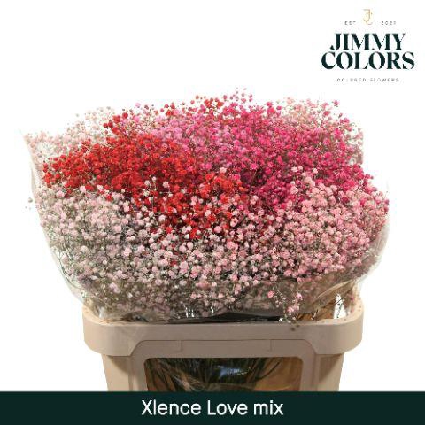 <h4>Gyps Xlence L80 Love Mix</h4>