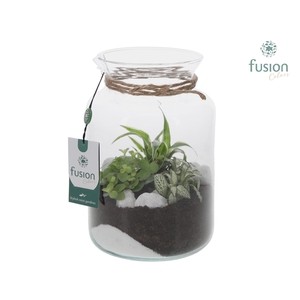 Glas met minituin arrangement