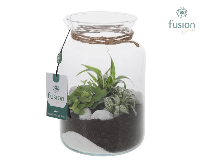 <h4>Glas met minituin arrangement</h4>