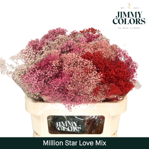 <h4>Gyps Million Star L70 Love mix</h4>